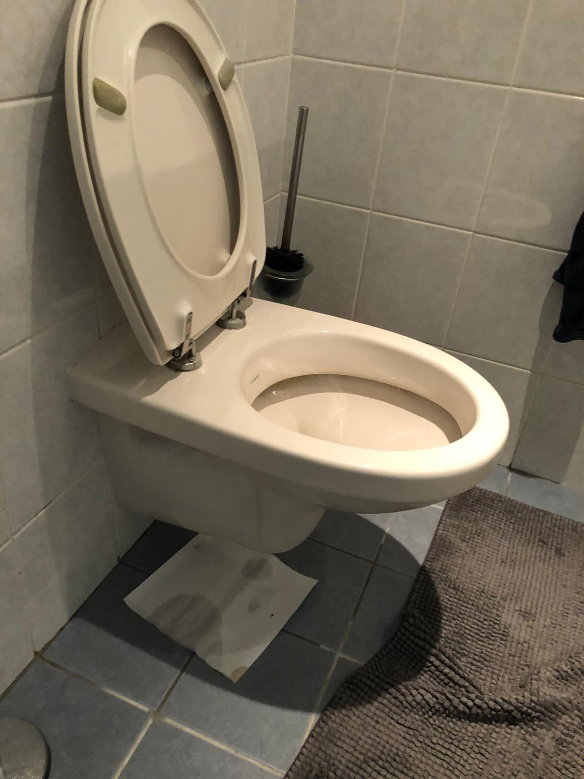 hangtoilet Boskoop
